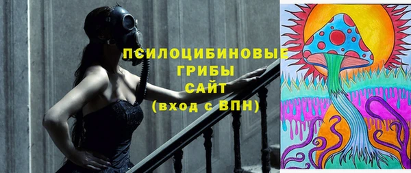 соль ск Волосово