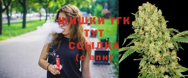 соль ск Волосово