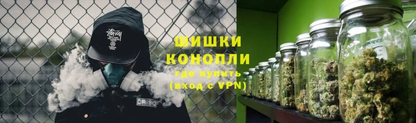соль ск Волосово