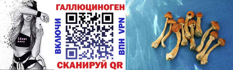 KRAKEN онион  Кизел  Галлюциногенные грибы MAGIC MUSHROOMS 